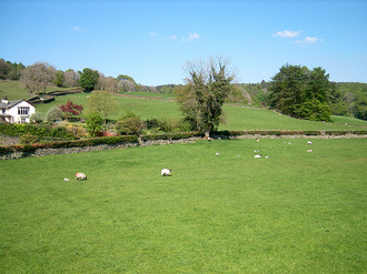 se-5-10-1+.jpg